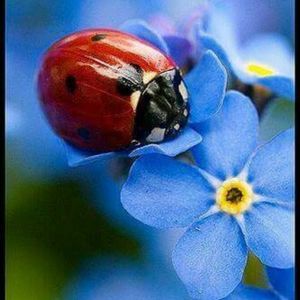 Meet your Posher, Lesley